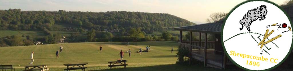 Laurie Lee Field